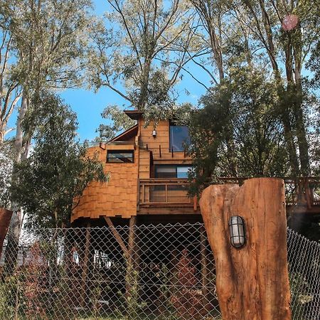 Casa Na Arvore Morada Dos Vagalumes Farroupilha Exteriör bild