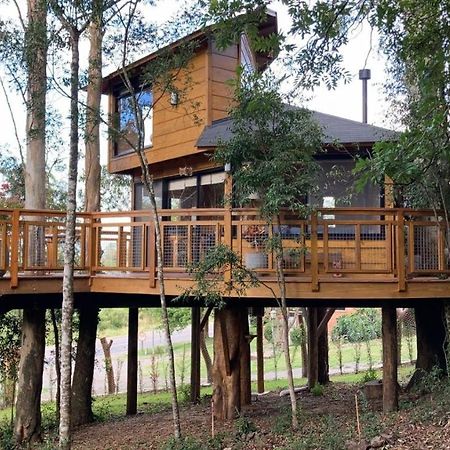 Casa Na Arvore Morada Dos Vagalumes Farroupilha Exteriör bild