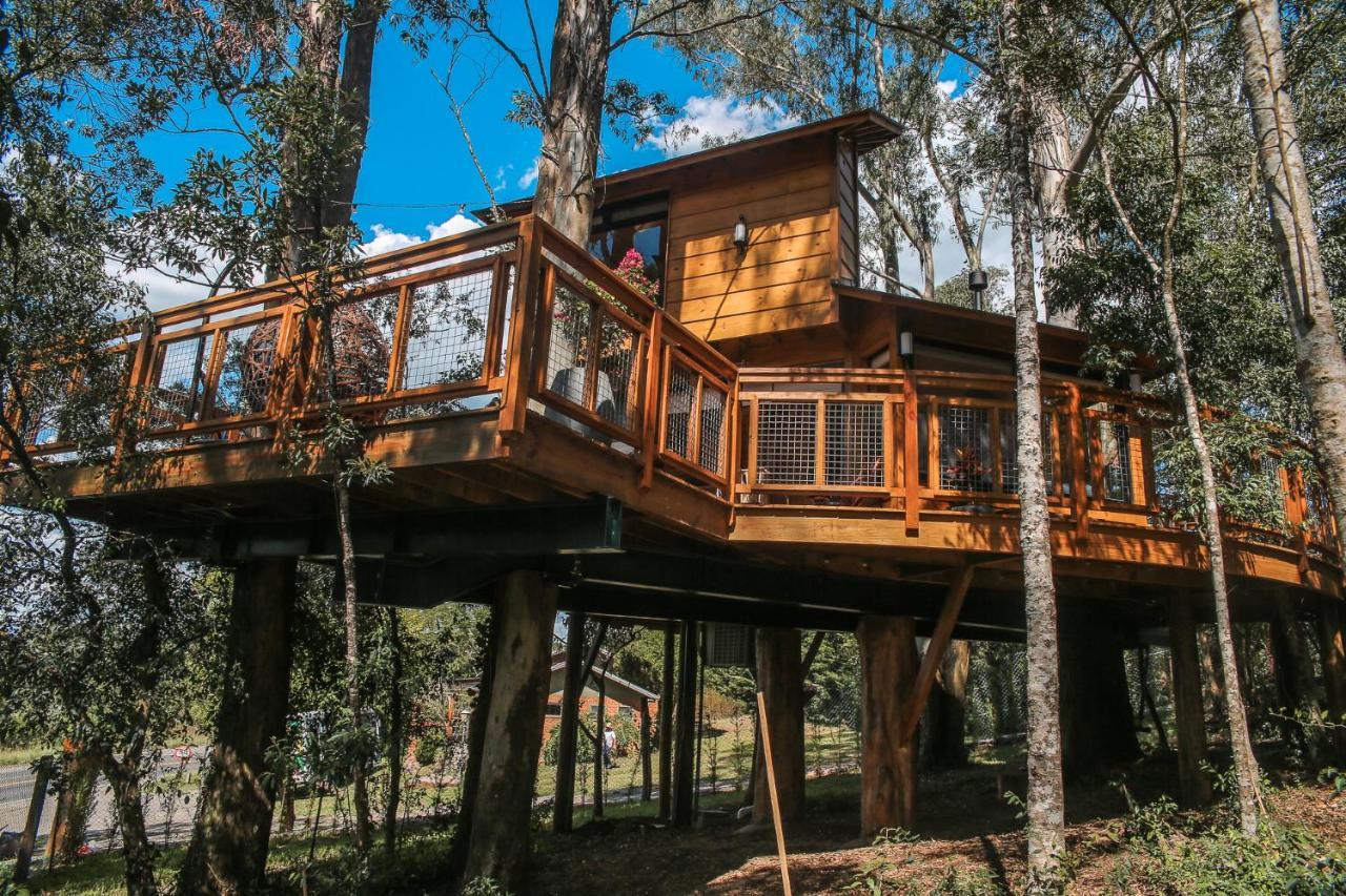 Casa Na Arvore Morada Dos Vagalumes Farroupilha Exteriör bild