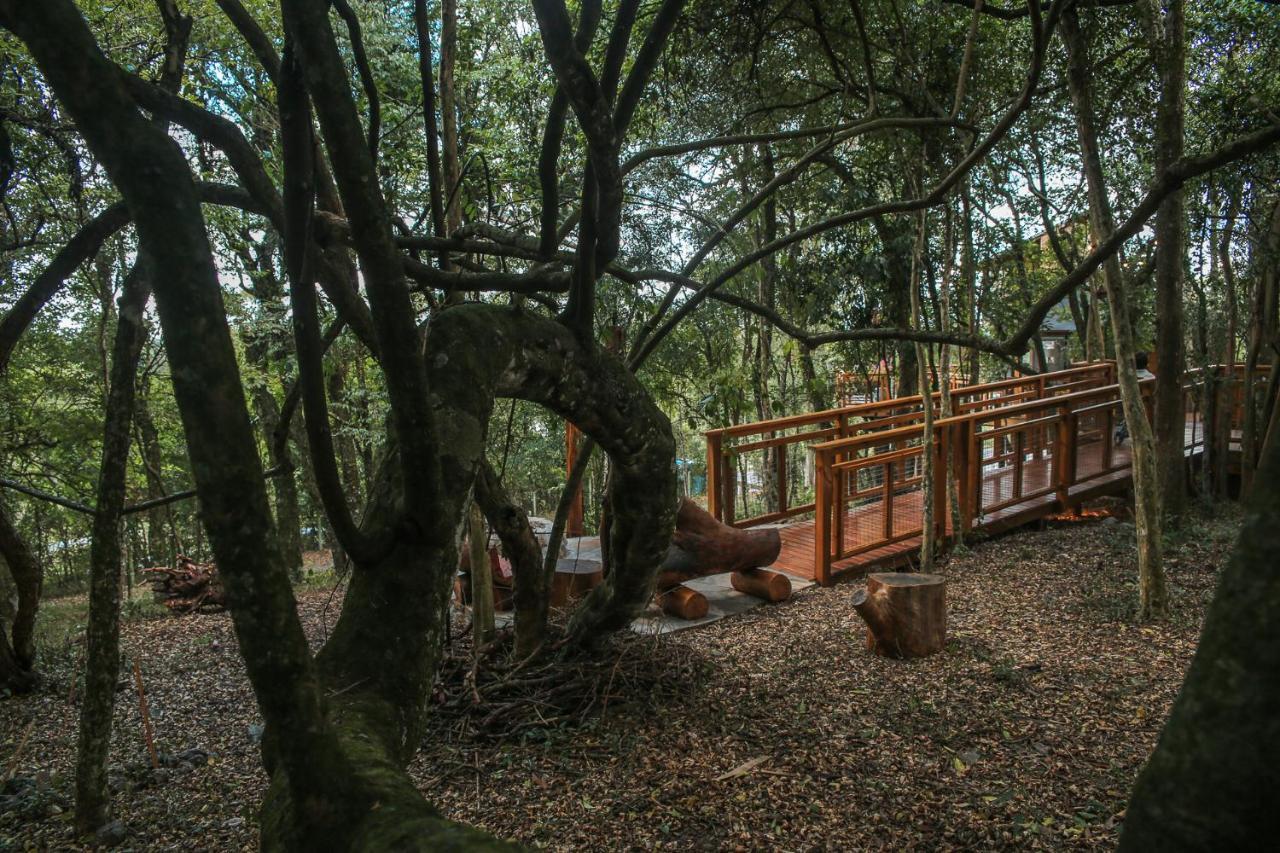 Casa Na Arvore Morada Dos Vagalumes Farroupilha Exteriör bild